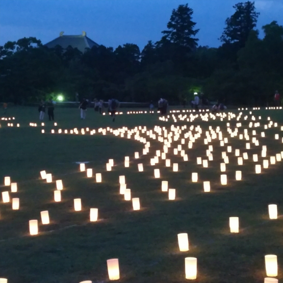 春日野園地　なら燈花会の様子 東大寺大仏殿を望む