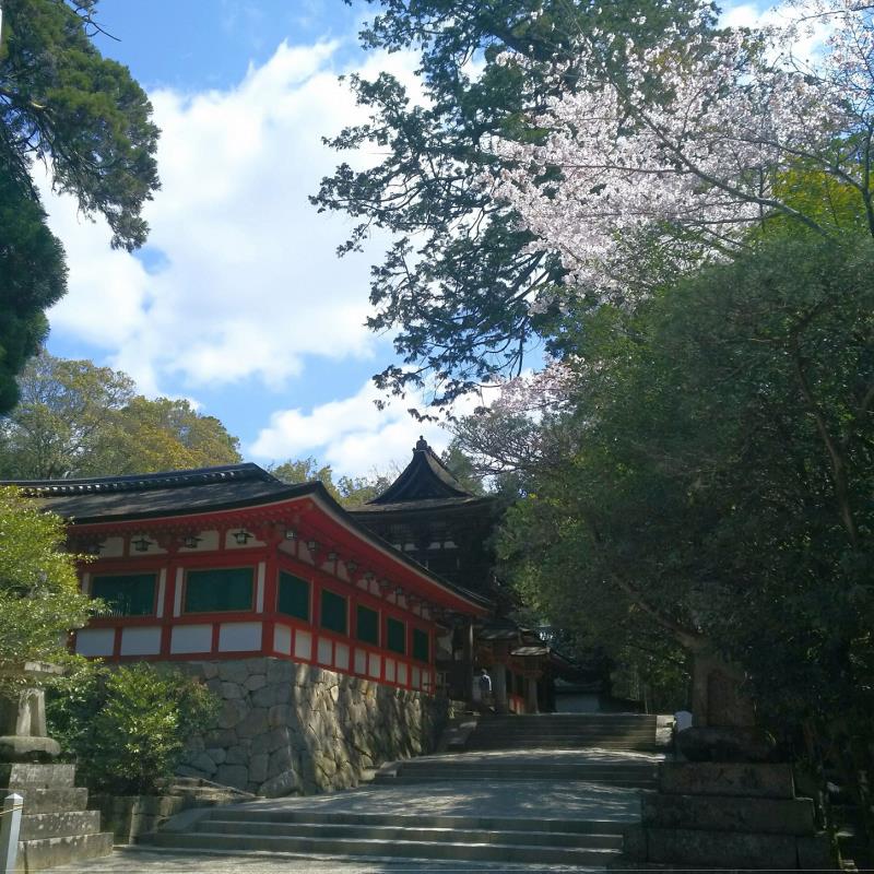 石上神宮拝殿を眺望する楼門前参道2