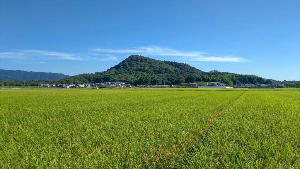 畝傍山を眺望できる大和高田バイパス3