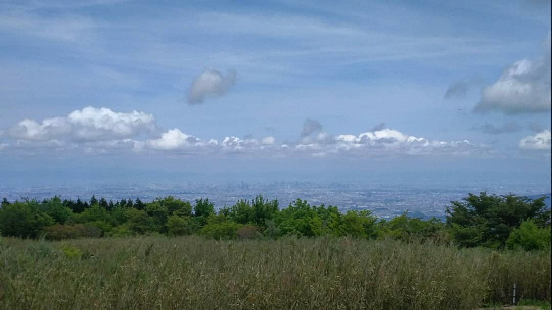 大阪平野の高層ビル群[西への眺望]