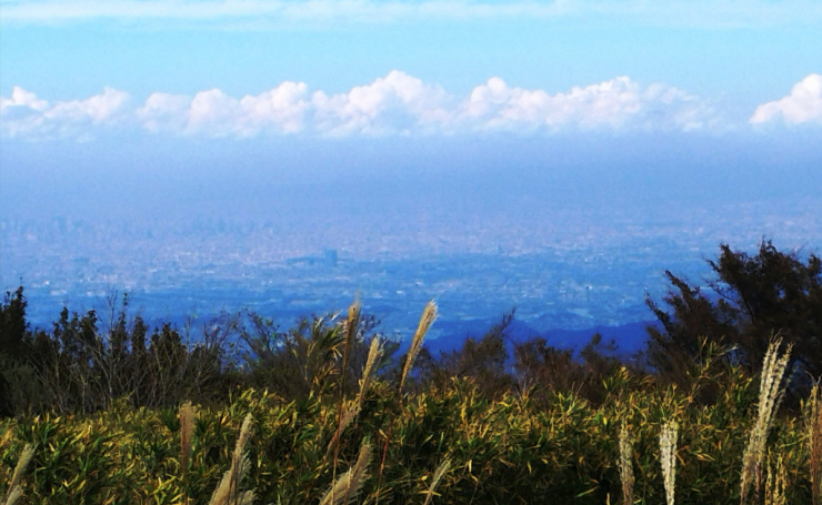 大阪平野への眺めとススキ2