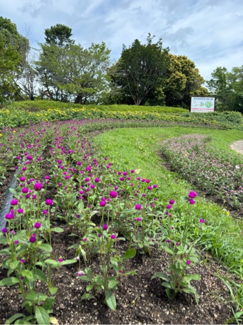 馬見花苑
