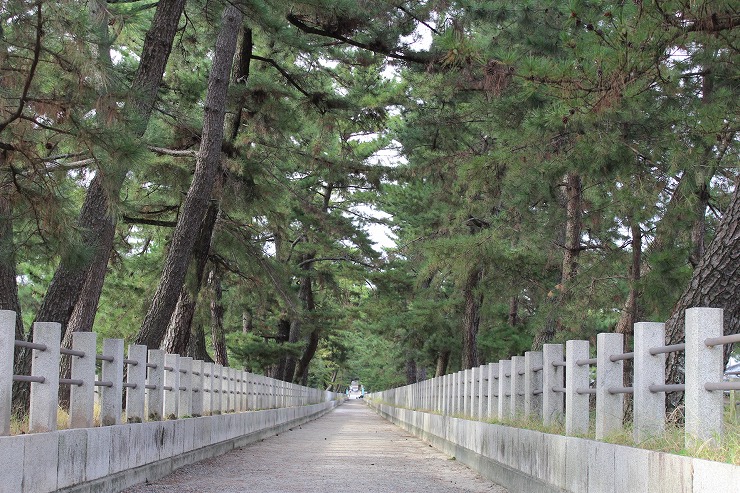松並木が続く法隆寺南大門前