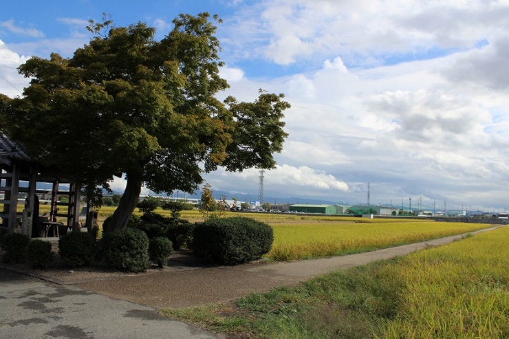 古代の道を残す太子道