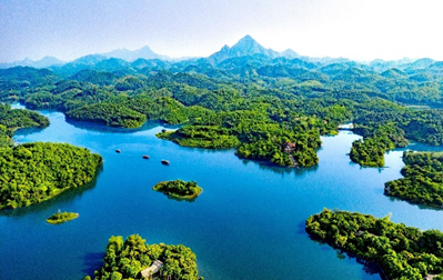 アオチャウラグーンの写真