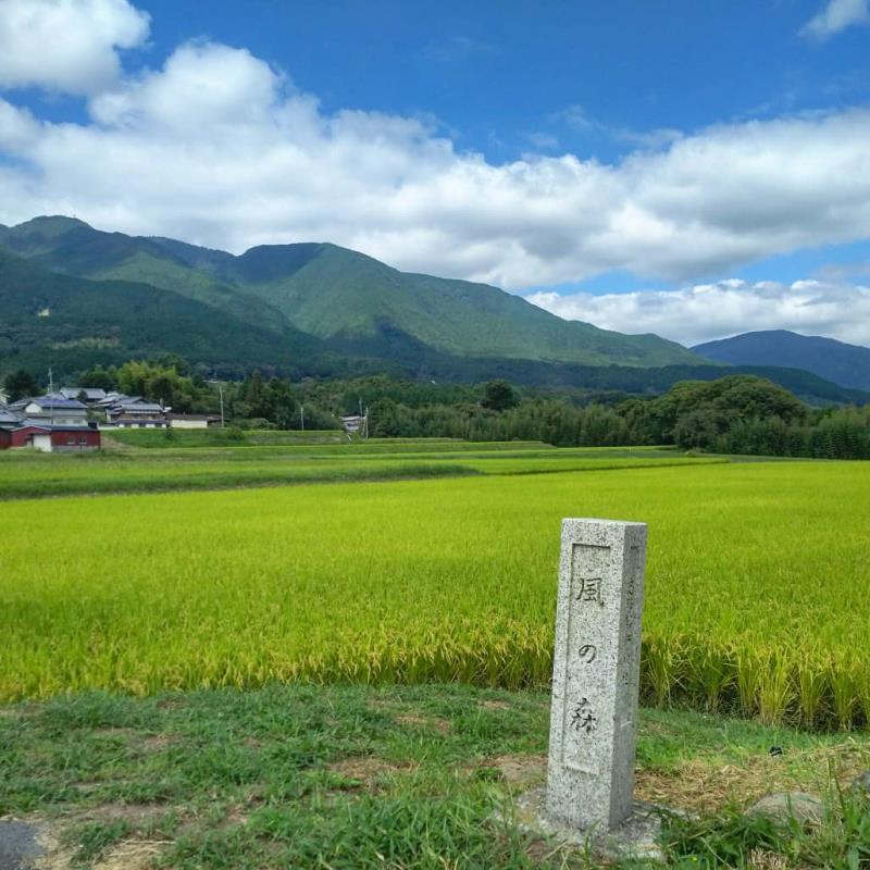 金剛山・葛城山が見える風の森峠付近2