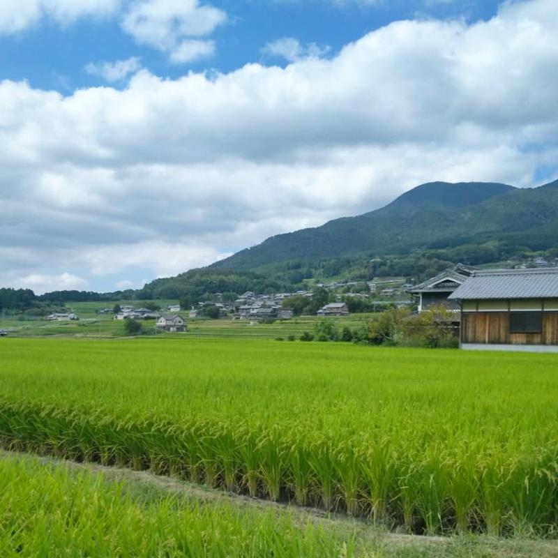 金剛山・葛城山が見える風の森峠付近3