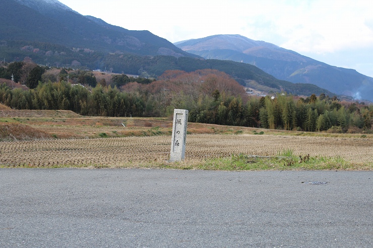 金剛山・葛城山が見える風の森峠付近