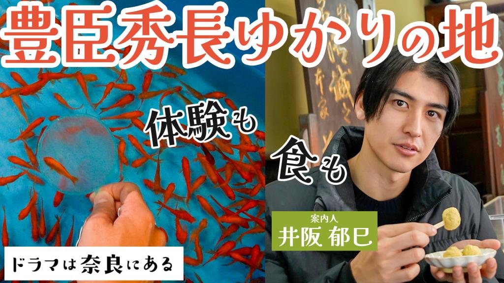 ドラマは奈良にある　豊臣秀長ゆかりの地＃1サムネイル