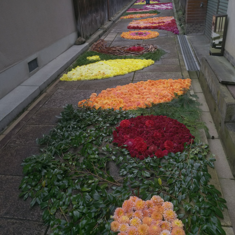 2019年度の宇陀松山華小路の風景3