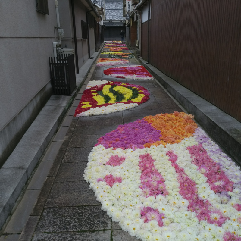 2019年度の宇陀松山華小路の風景1