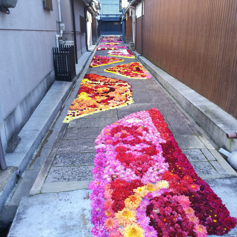 2018年度の宇陀松山華小路の風景1