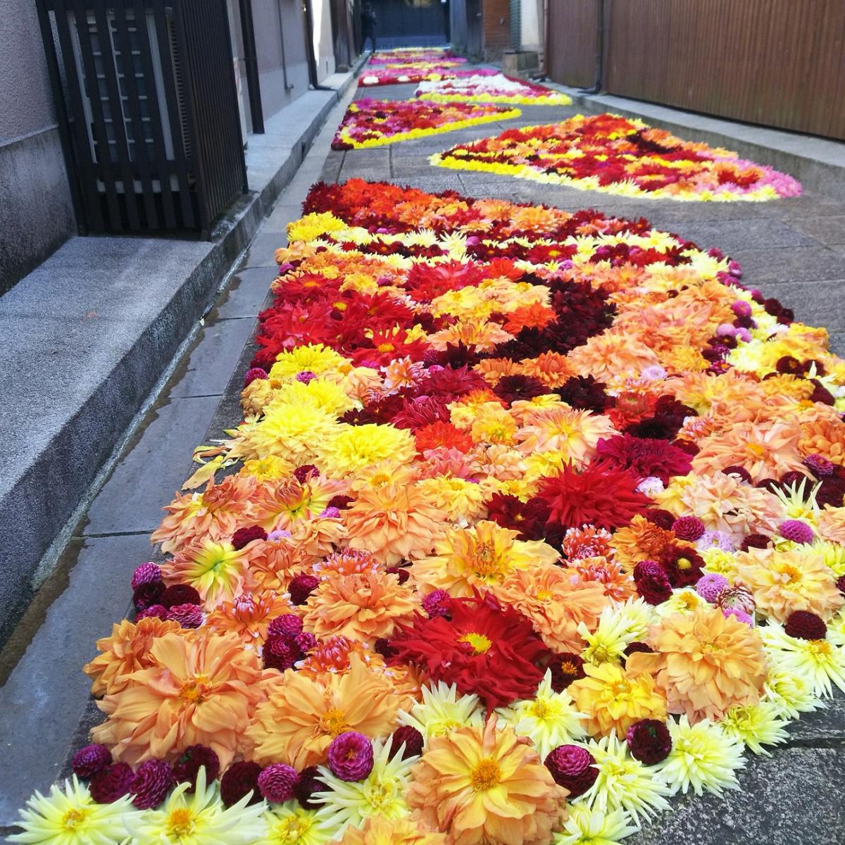 2018年度の宇陀松山華小路の風景2