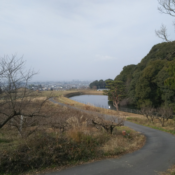 崇神天皇陵と大和平野への眺め2
