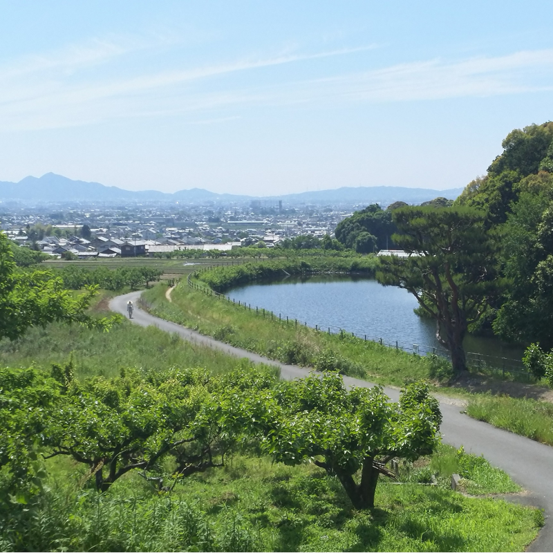 崇神天皇陵と大和平野への眺め1