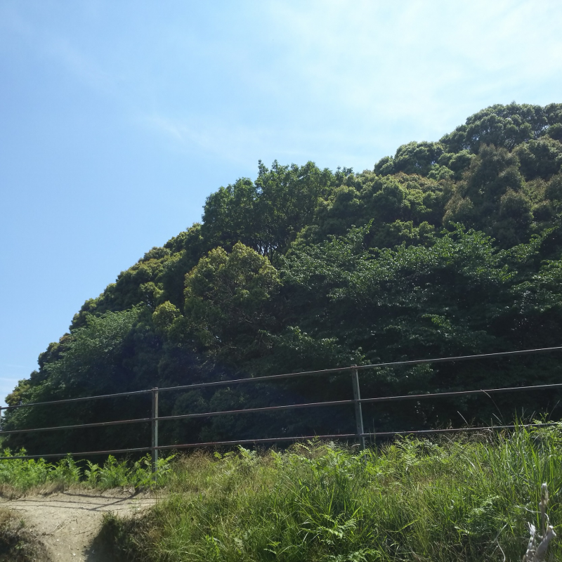 西に崇神天皇陵を眺める