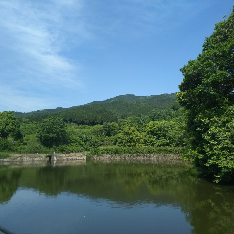 東に龍王山を眺める