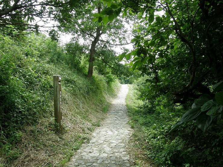 石畳の敷かれた風情ある坂