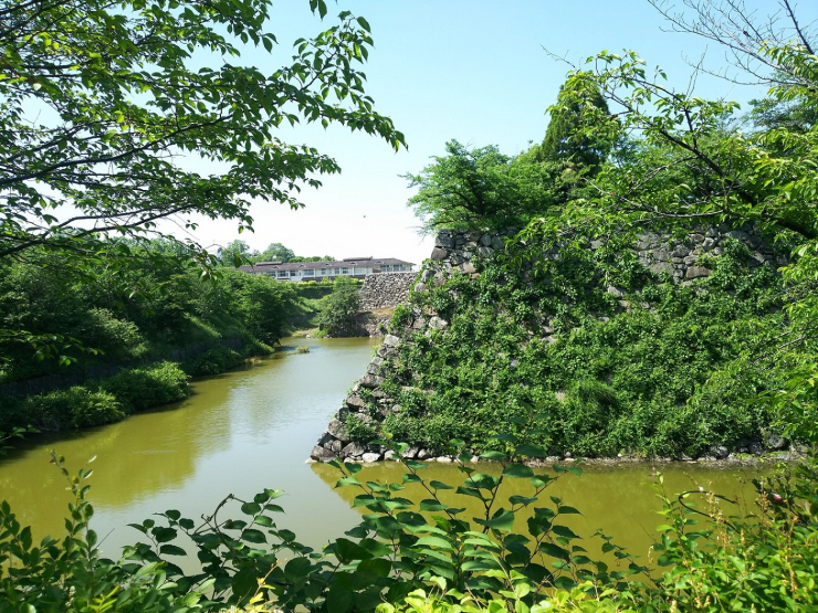 木々の間から大和郡山城跡を眺める