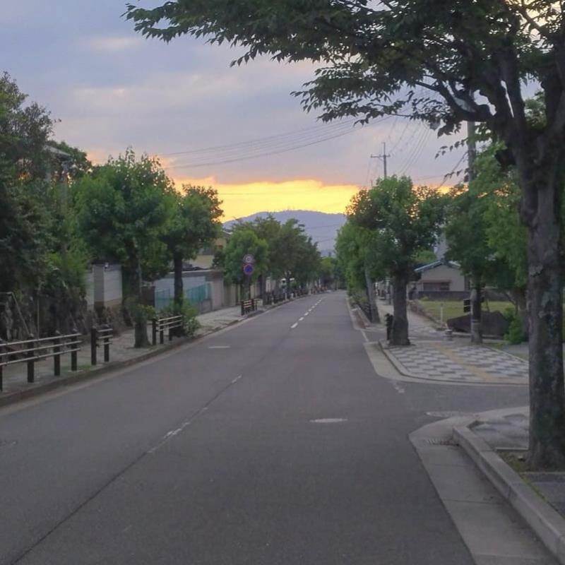 夕暮れ時の旧柳生街道に続く並木道