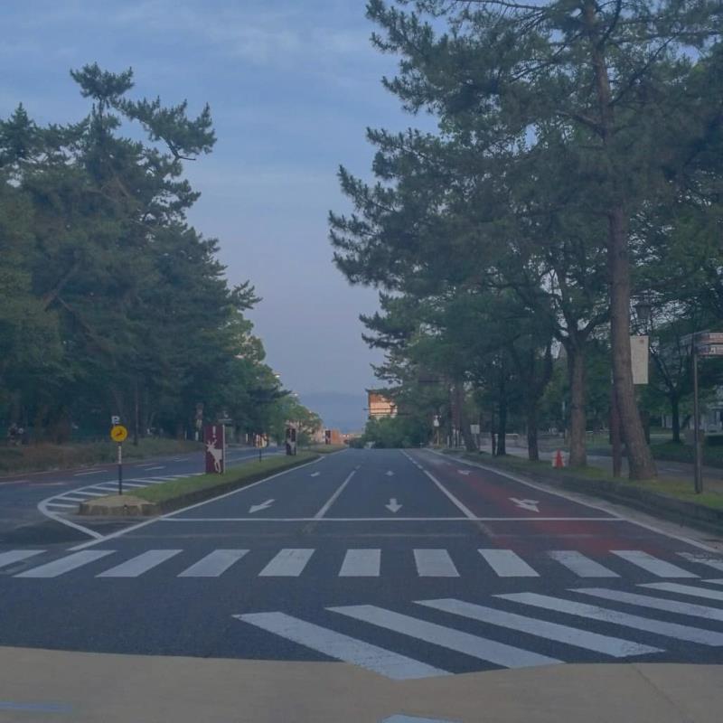 若草山を望む登大路付近の道路から西方向