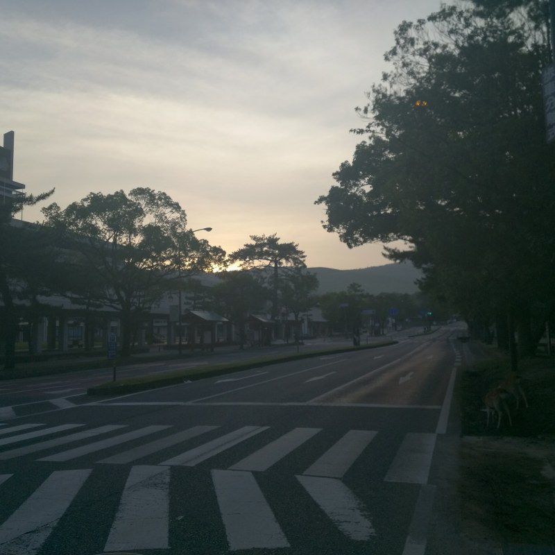 若草山を望む登大路付近の道路から日の出の様子