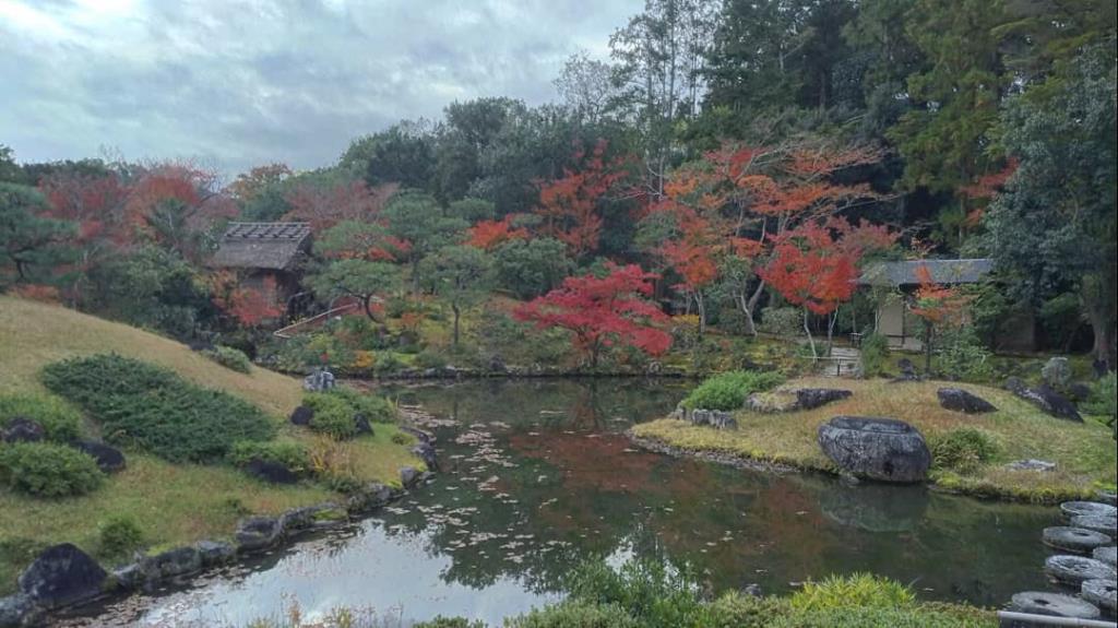後園の紅葉の季節2