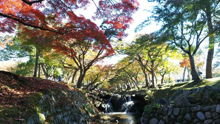 奈良公園内を流れる吉城川6