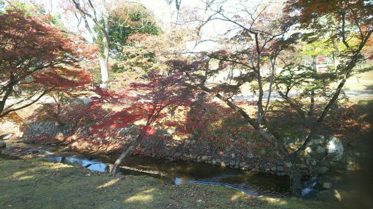 奈良公園内を流れる吉城川5