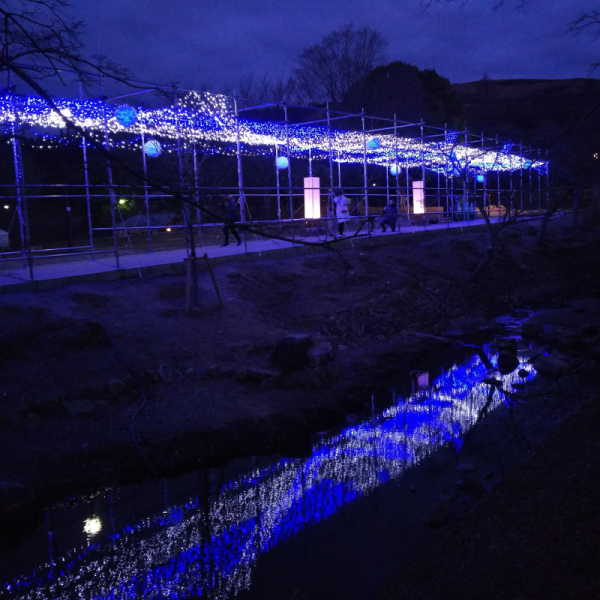 なら瑠璃絵2019開催中の様子