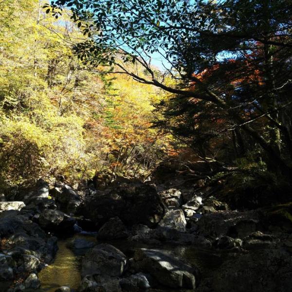 紅葉の季節　下に流れる渓流を眺める