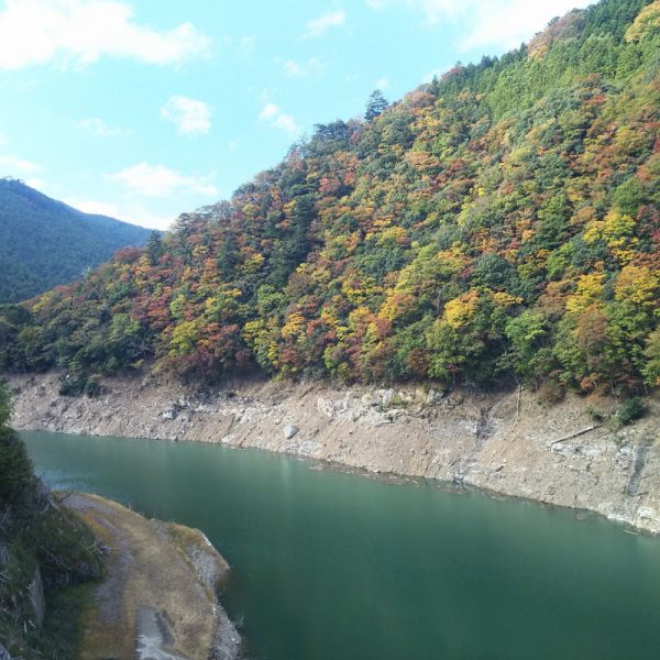 井戸橋から望む紅葉2