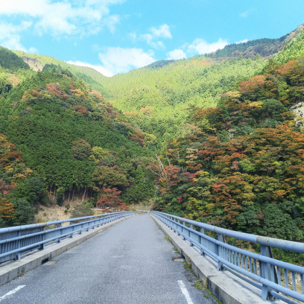 井戸橋から望む紅葉3