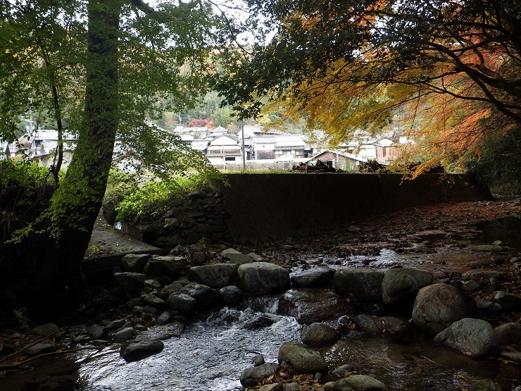  上流側の飛び石1