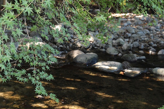  上流側の飛び石3
