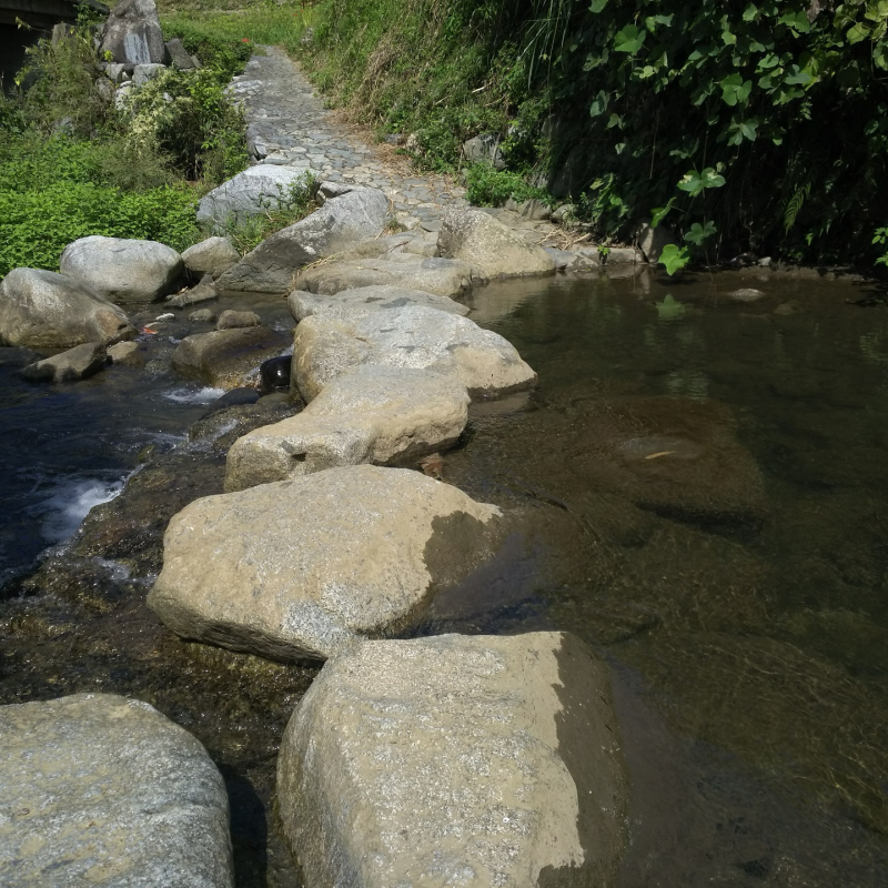  下流側の飛び石3