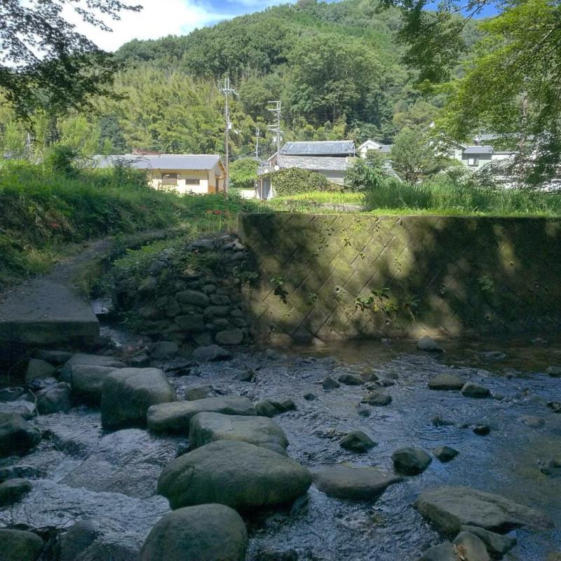  上流側の飛び石2