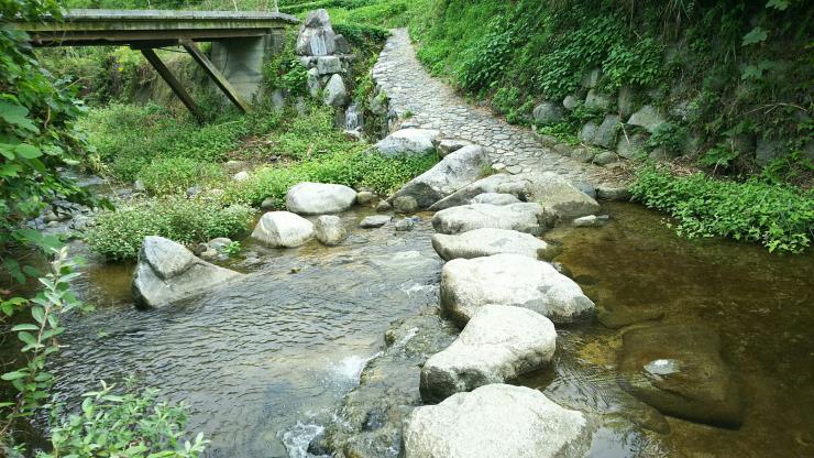  下流側の飛び石2