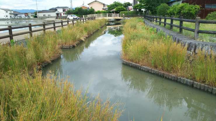 中世の堀を今に伝える藤森環濠集落の画像2