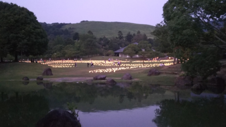 なら燈花会[春日野園地]を眺める