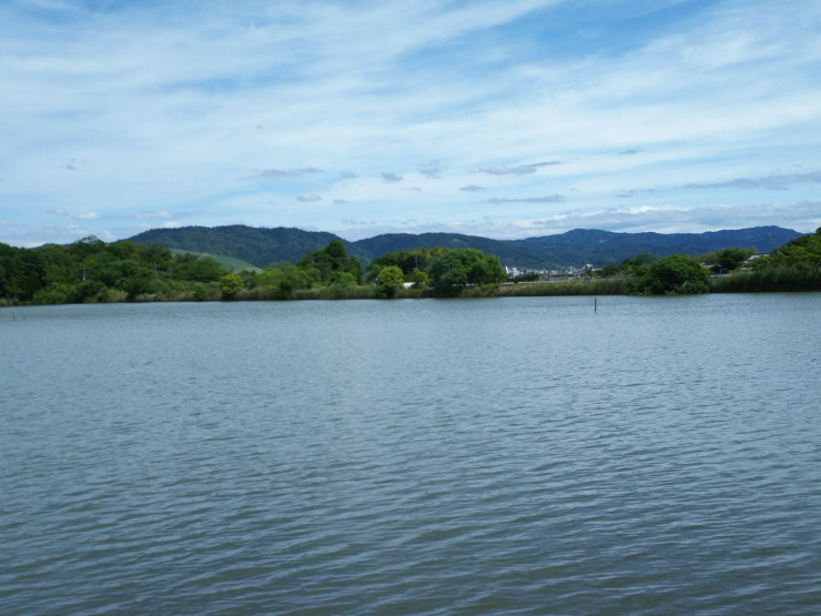 水上池の西側から東への眺め