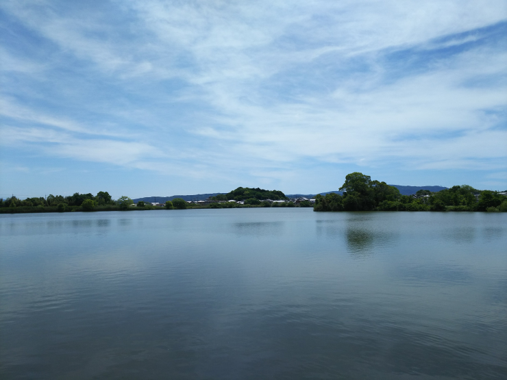 水上池の北東側から南西への眺め