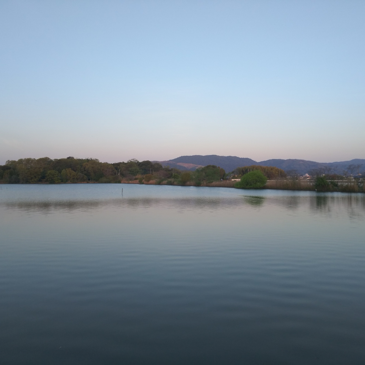 水上池の西側から東への眺め