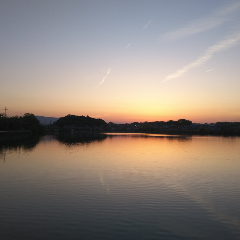 水上池の南東側から北西への眺め