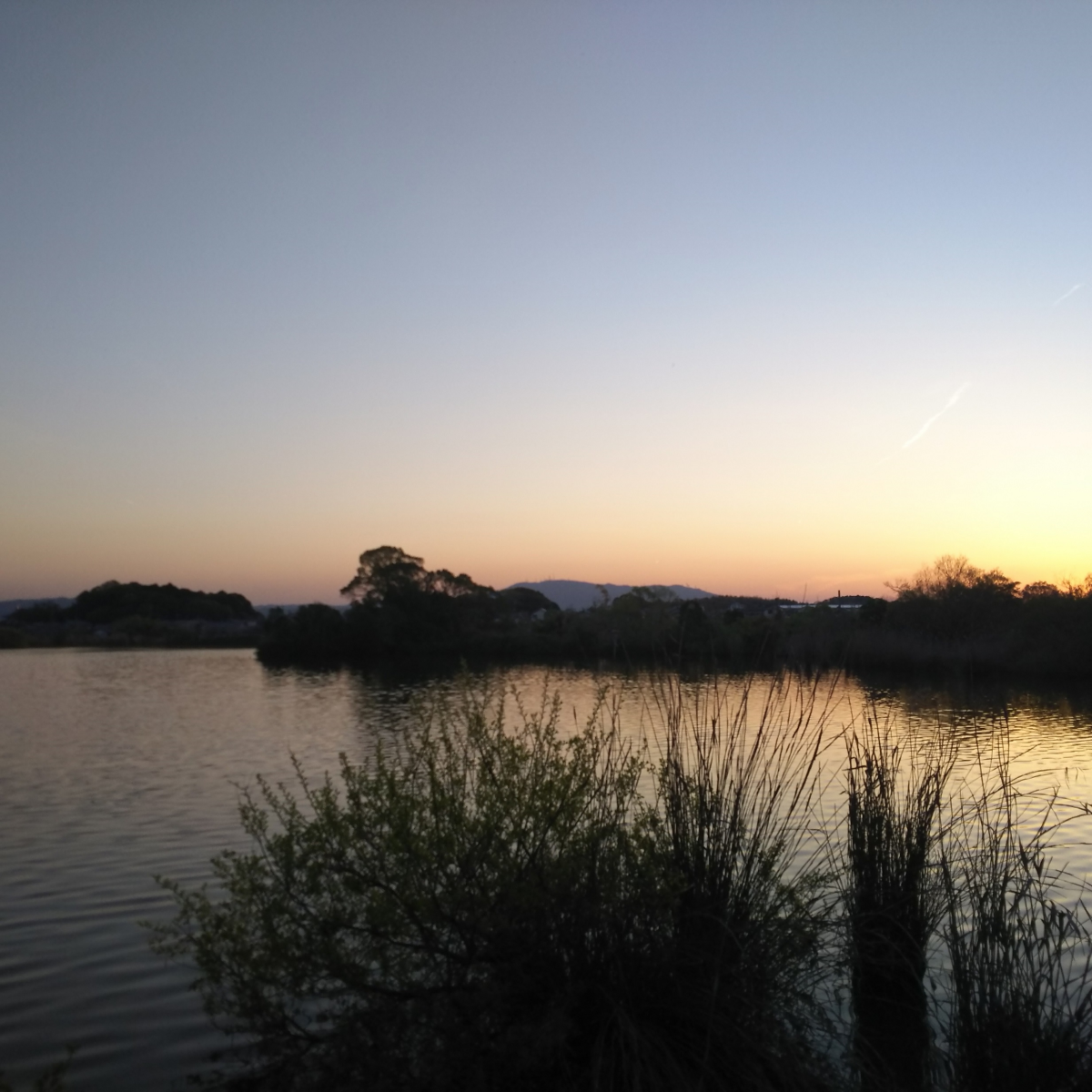 水上池の北東側から南西への眺め
