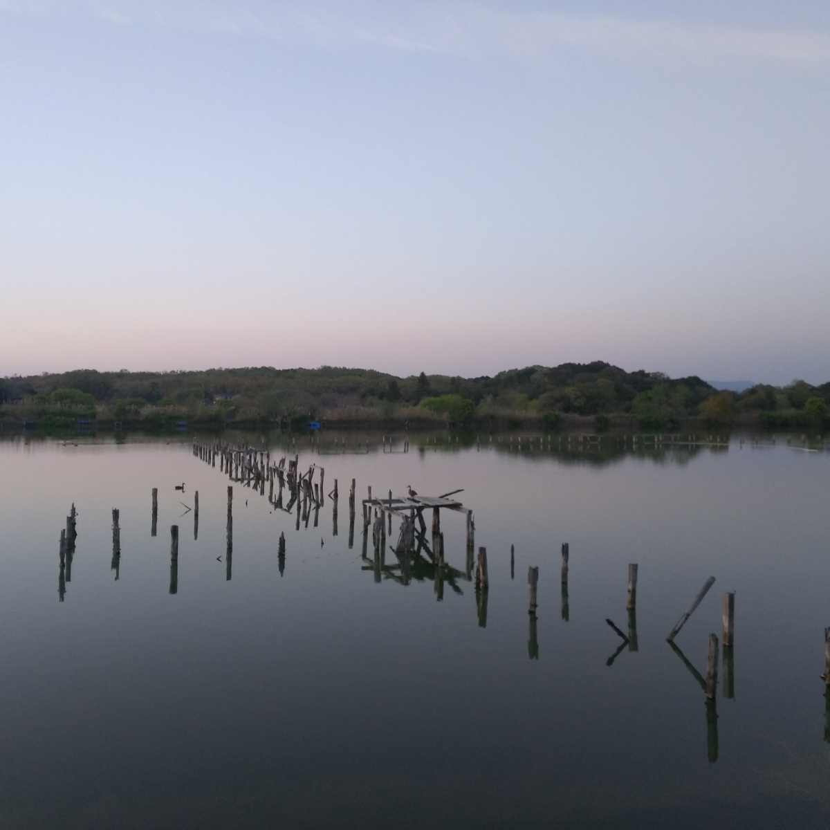 水上池の南西側から北への眺め