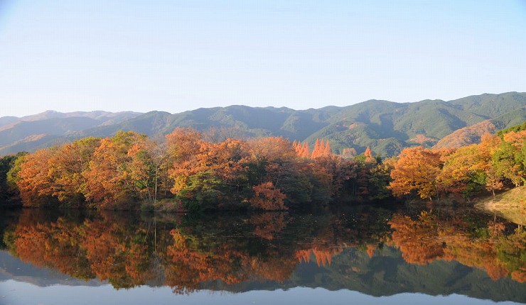 中戸新池から眺める秋の紅葉