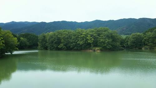 普段の中戸新池