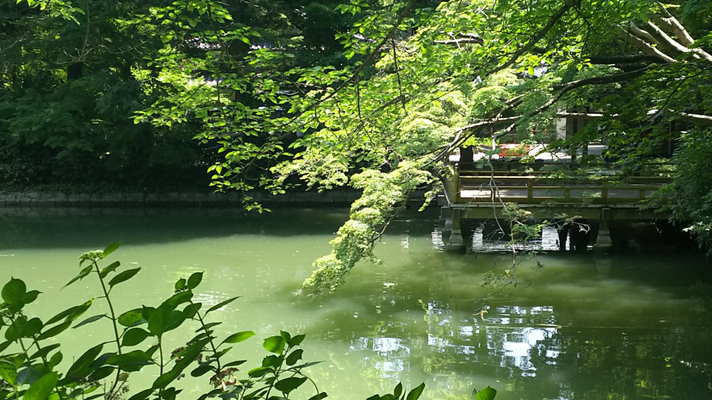 普段の宮池と浮舞台