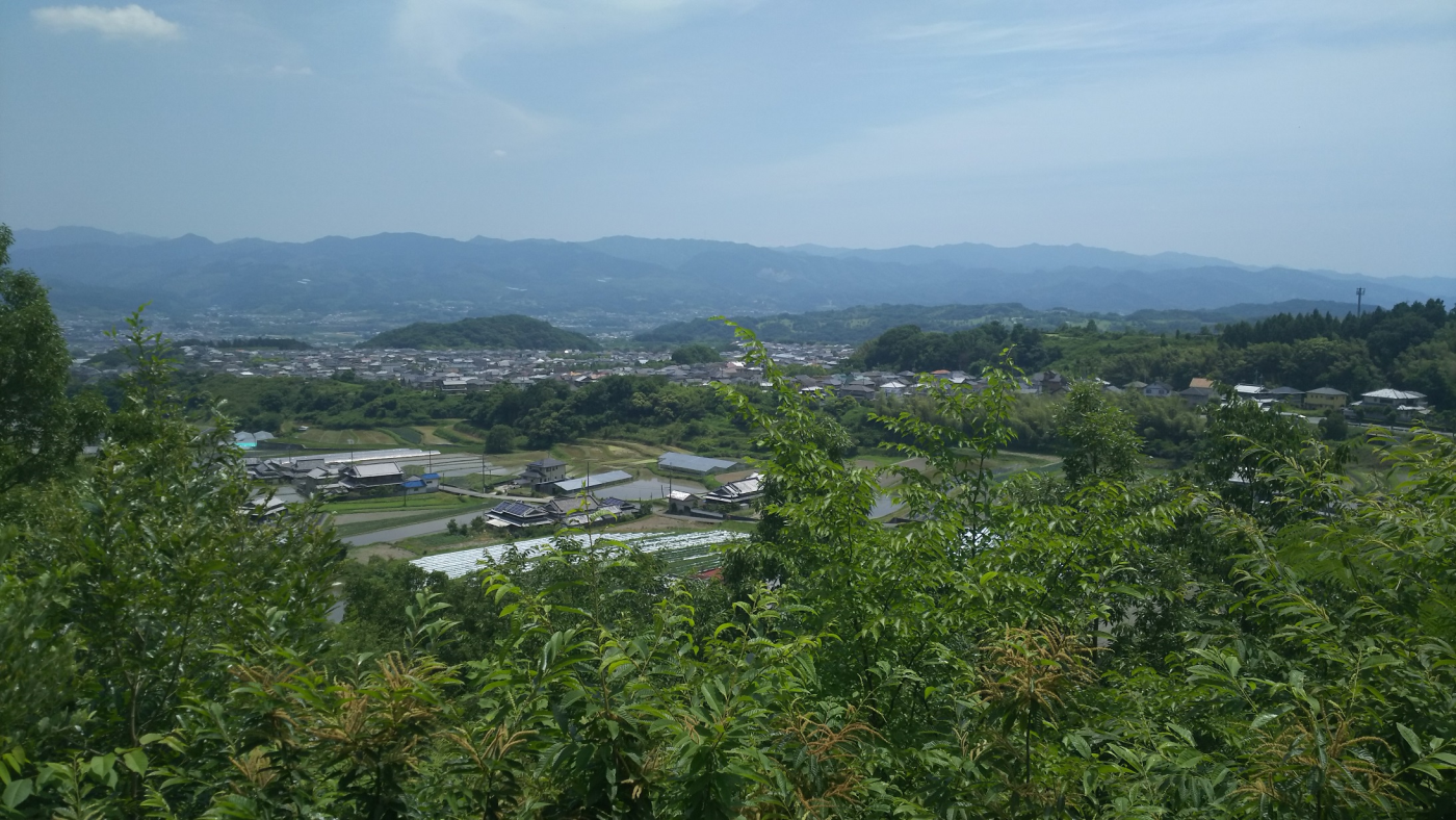 「ウグイスの森」の展望台